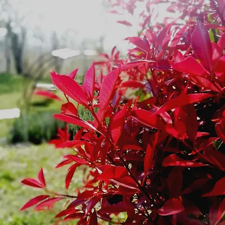 Apartment Tenuta Silente Loft Con Idromassaggio Privato Poggio San Marcello